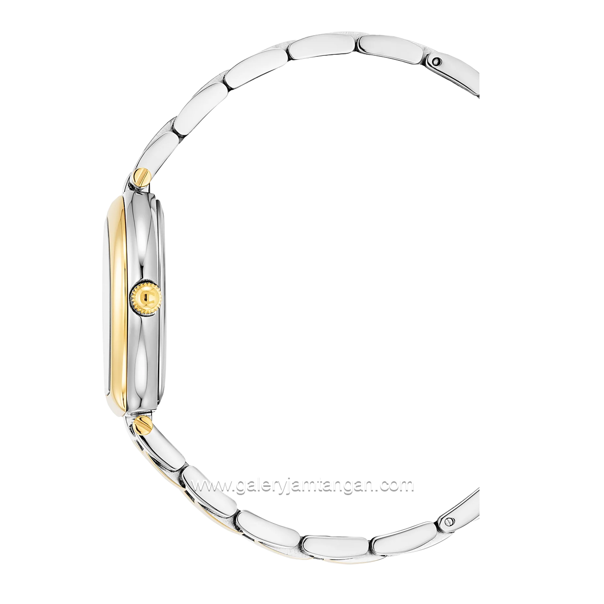 AIGNER TRANI AGW.238010 Women's Watch Silver Gold Swiss Made