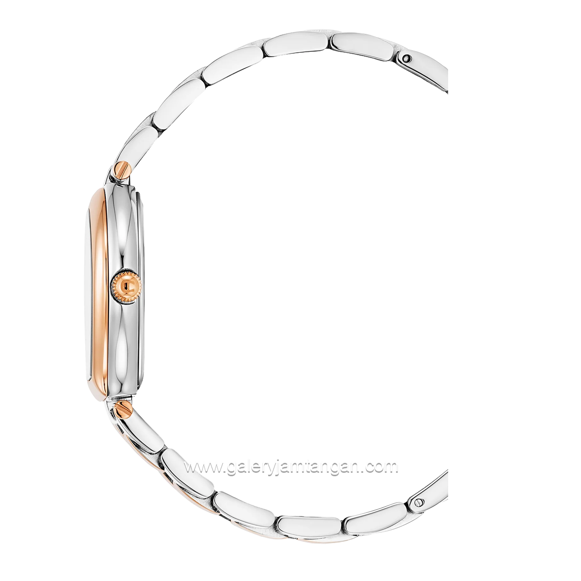 AIGNER TRANI AGW.238011 Women's Watch Silver Rosegold Dial Silver Swiss Made