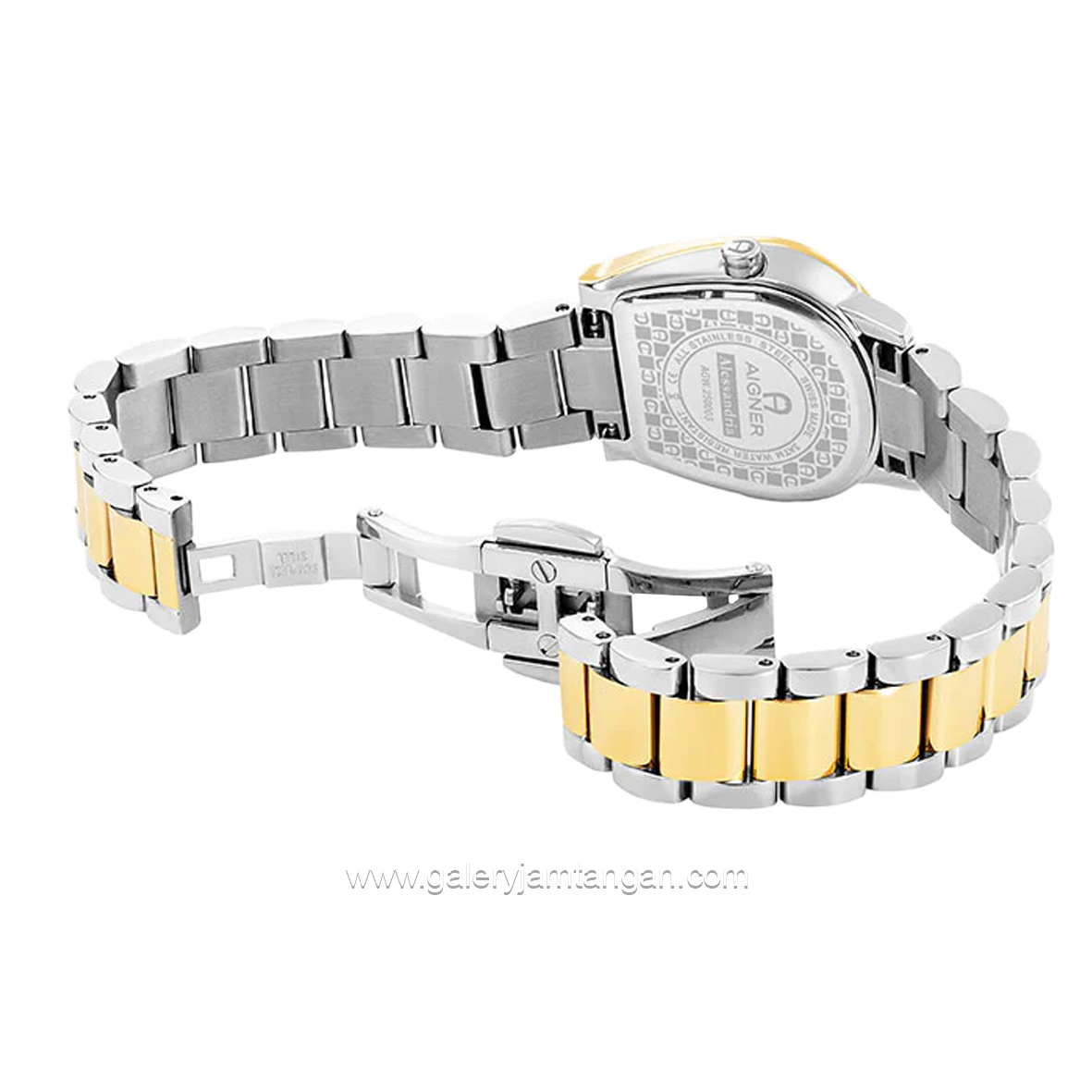 AIGNER ALESSANDRIA AGW.250004 Women's Watch Silver Gold Dial Green Swiss Made