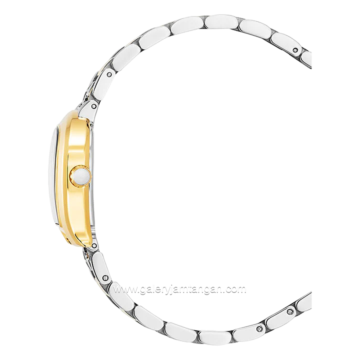 AIGNER ANCONA AGW.248002 Women's Watch Silver Gold Swiss Made