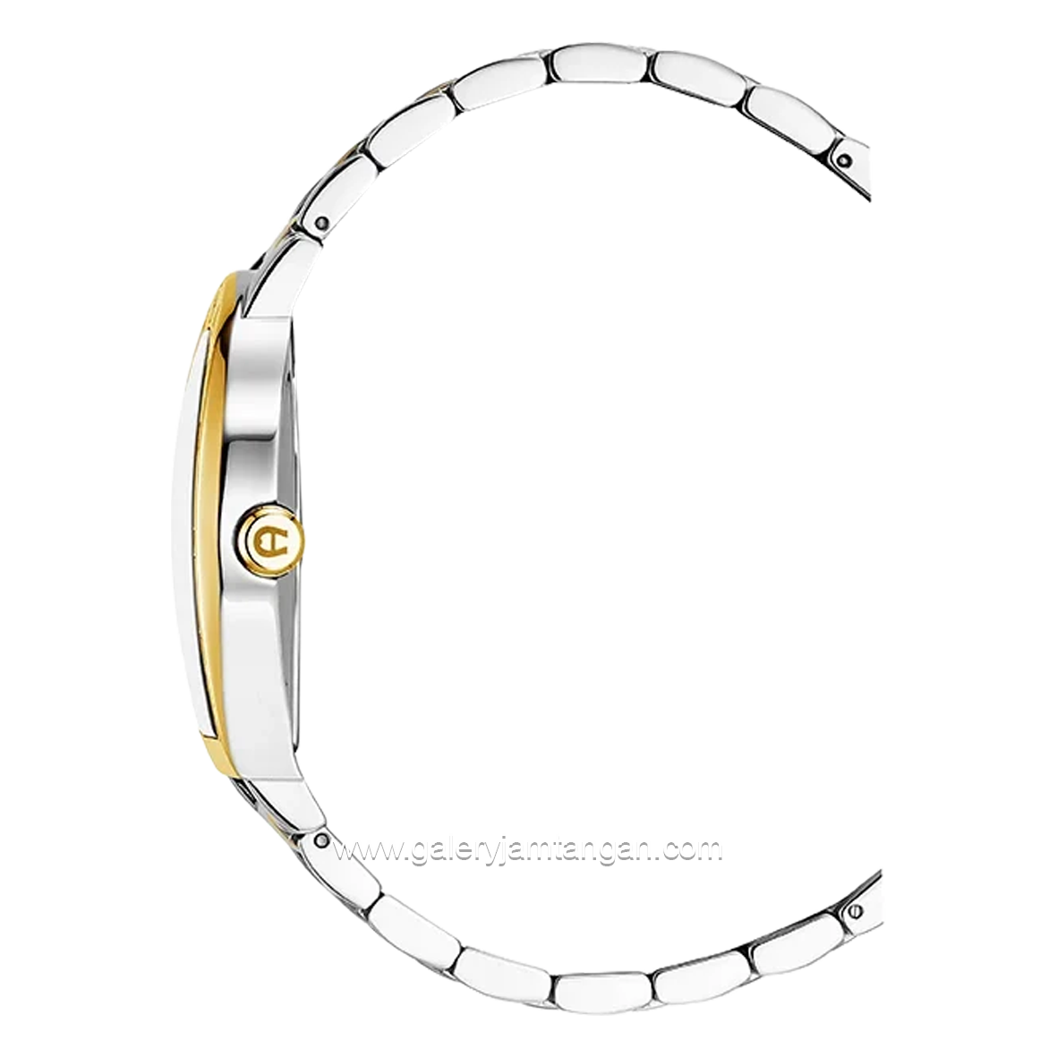AIGNER DAIANO AGW.269007 Silver Combinasi Gold Dial Green Stainless Steel