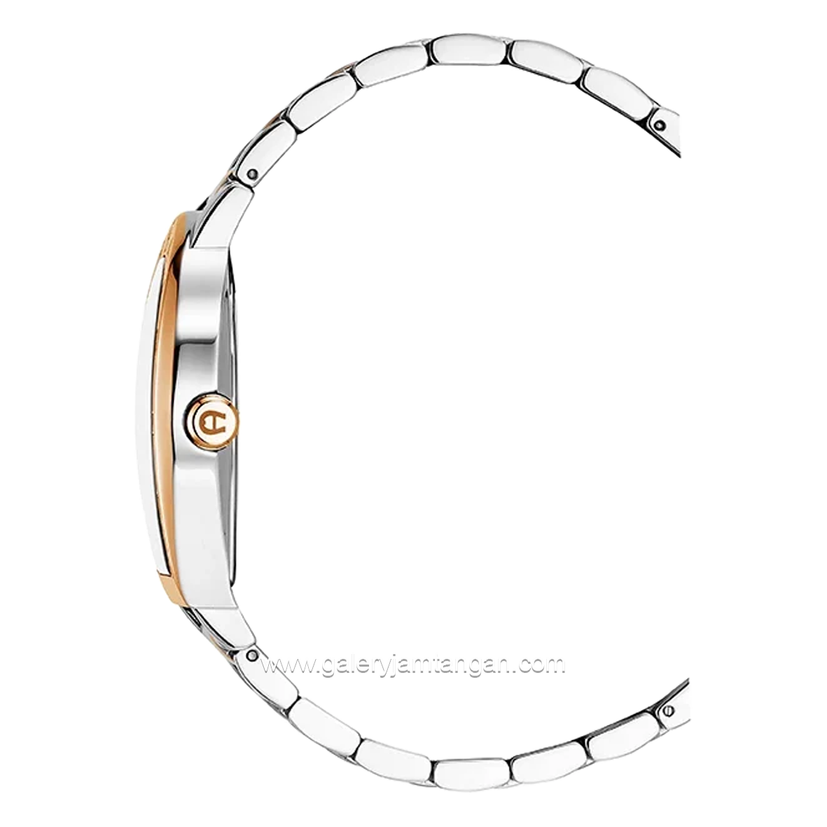 AIGNER DAIANO AGW.269008 Silver Combinasi Brown Stainless Steel
