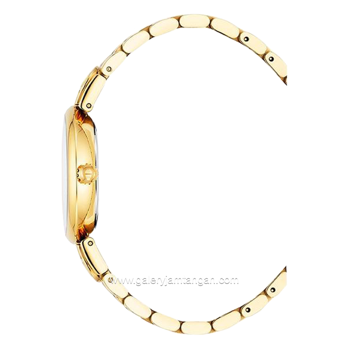 AIGNER DOLCE AGW.265005 Women's Watch Gold Dial Green Swiss Made