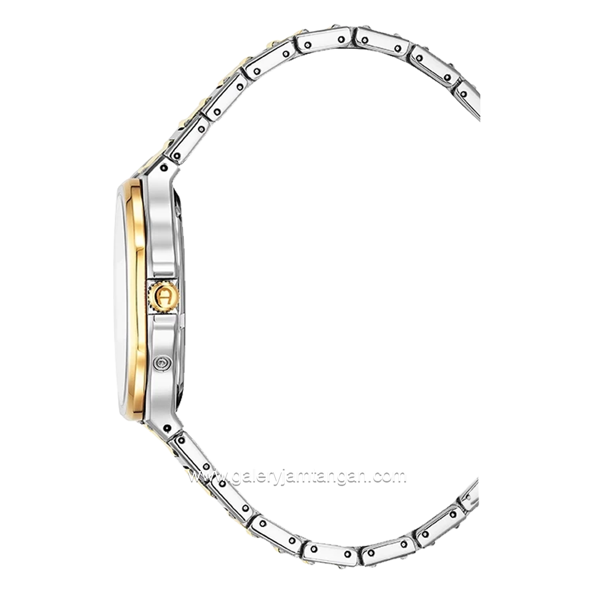 AIGNER FERMO AGW.266004 Silver Gold Dial Green Swiss Made