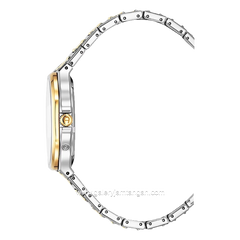 AIGNER FERMO AGW.266004 Silver Gold Dial Green Swiss Made