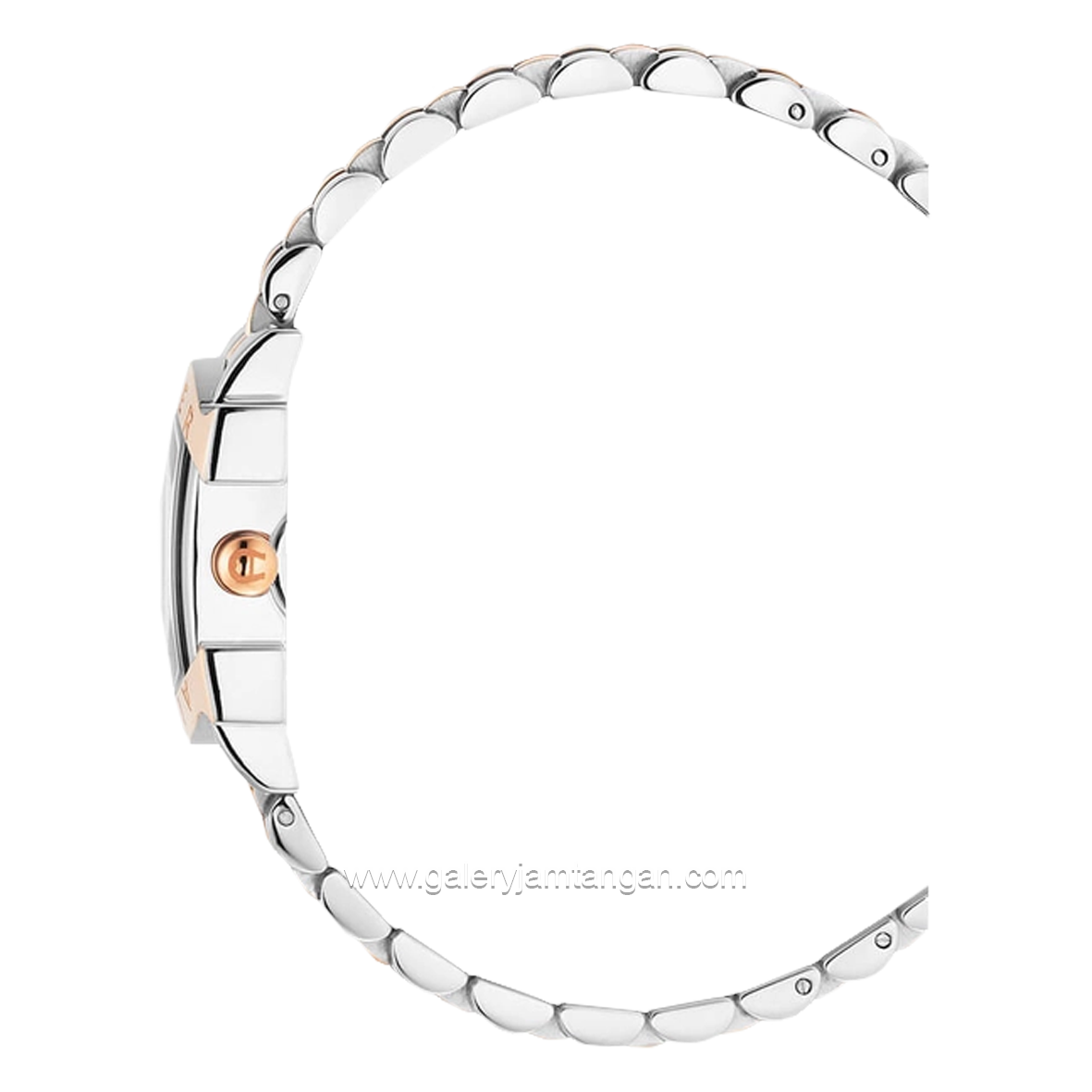 AIGNER MASSA DUE AGW.249004 Women's Silver Rosegold Dial Green Stainless Steel Swiss Made