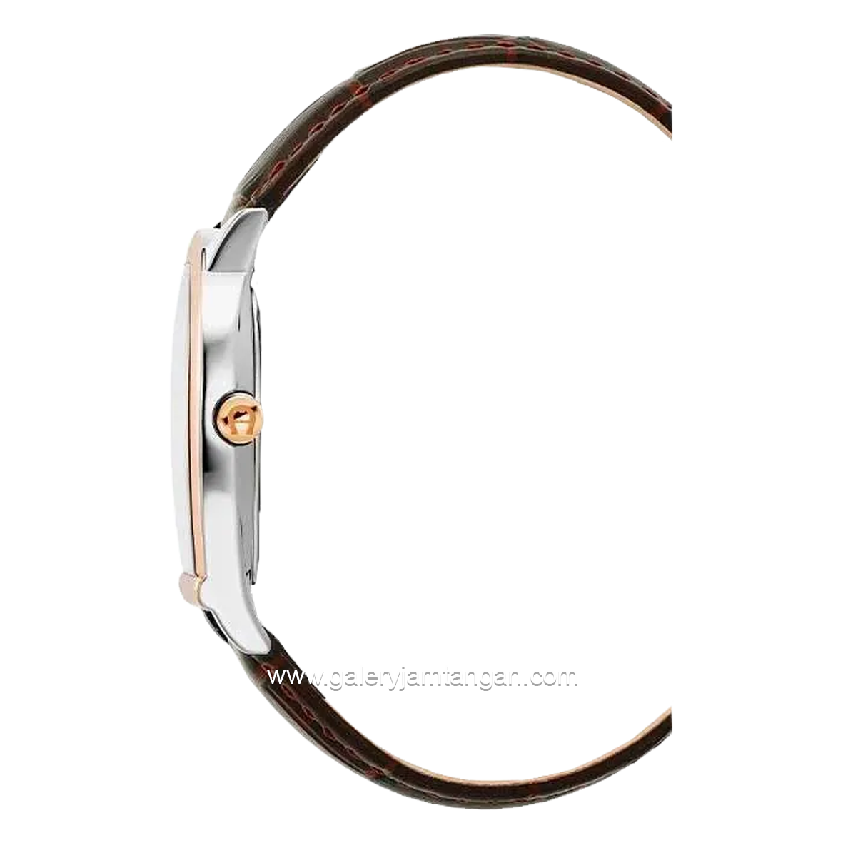 AIGNER MOLISE II AGW.278004.C Brown Gold Leather Strap