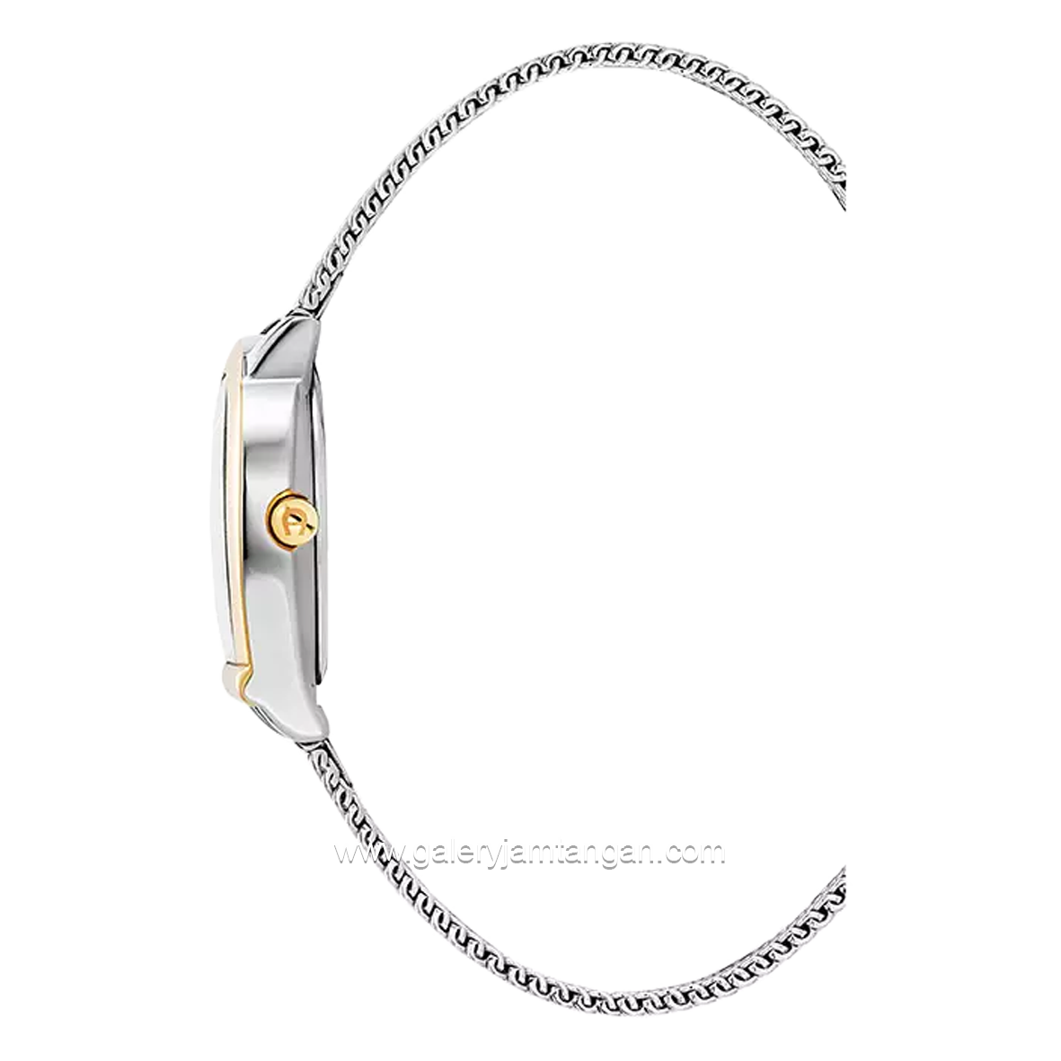 AIGNER MOLISE II AGW.282005.C Silver Gold Shandrope Strap Swiss Made