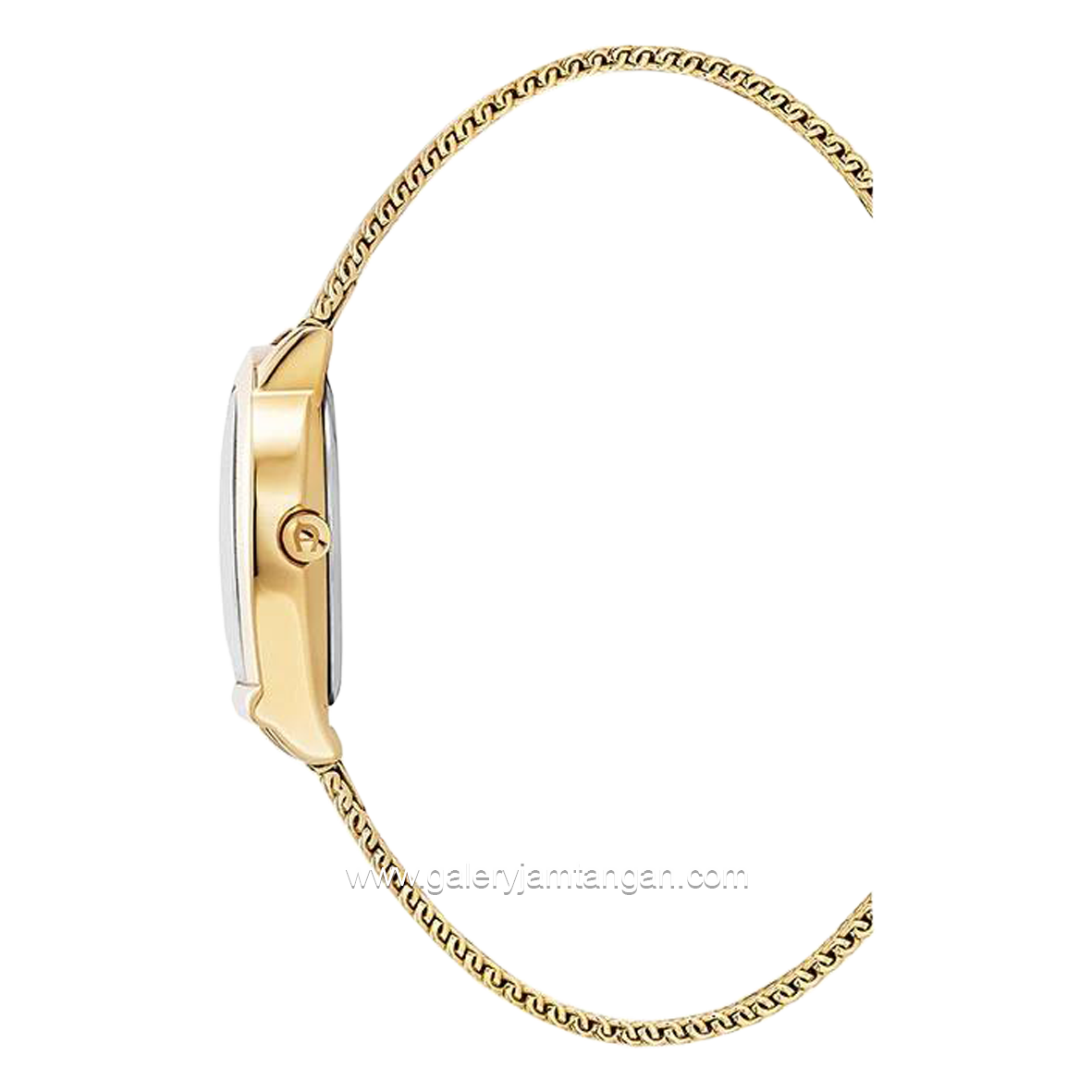 AIGNER MOLISE II AGW.282007.C Gold Shandroep Strap Swiss Made