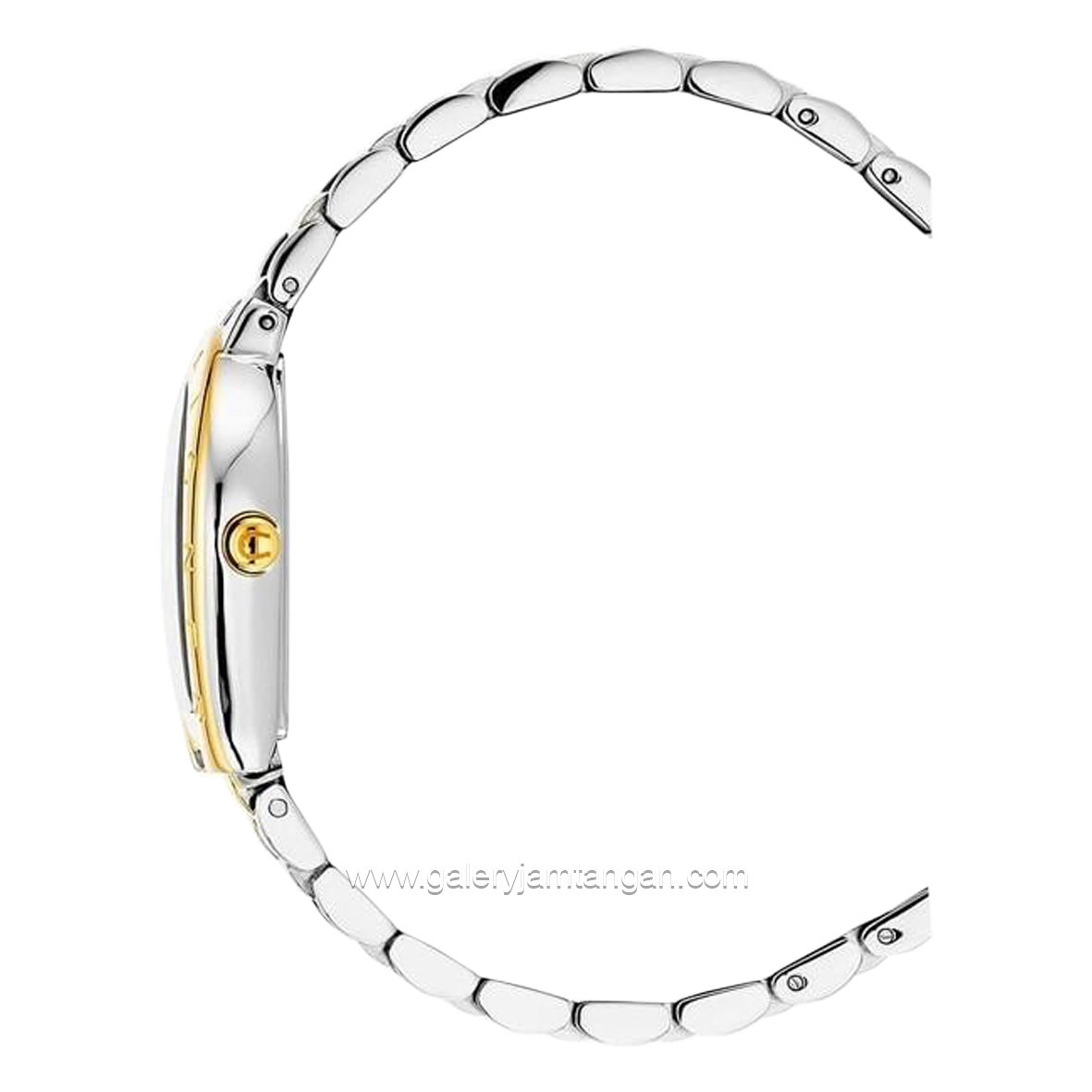 AIGNER RAVENNA DUE DIAMOND AGW.259003 Women's Watch Silver Gold Dial Blue Swiss Made