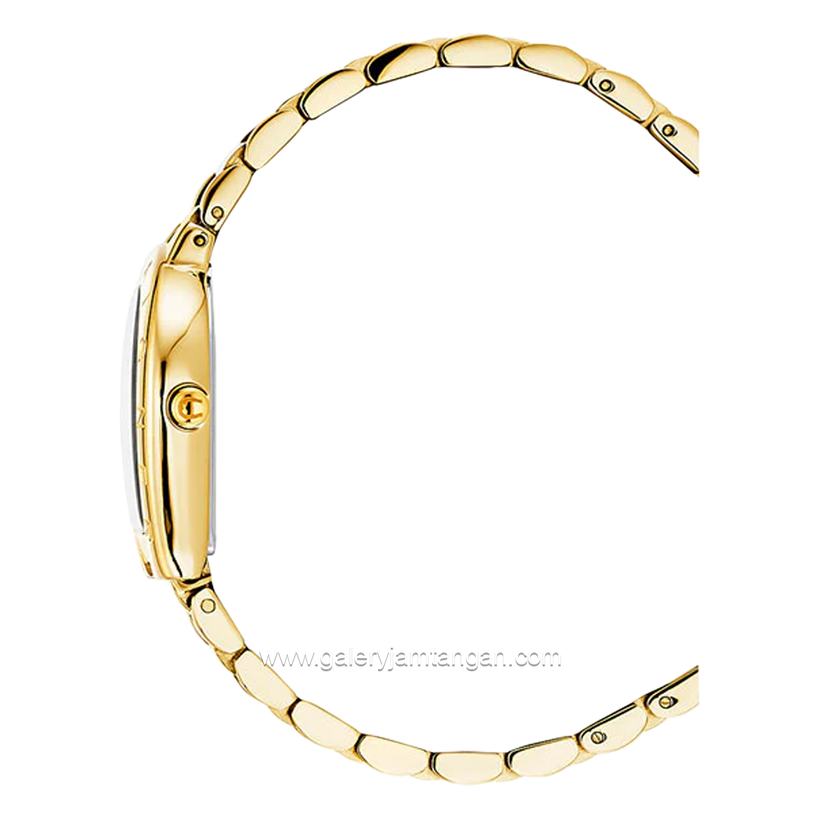 AIGNER RAVENNA DUE AGW.259005 Women's Watch Gold Series Swiss Made