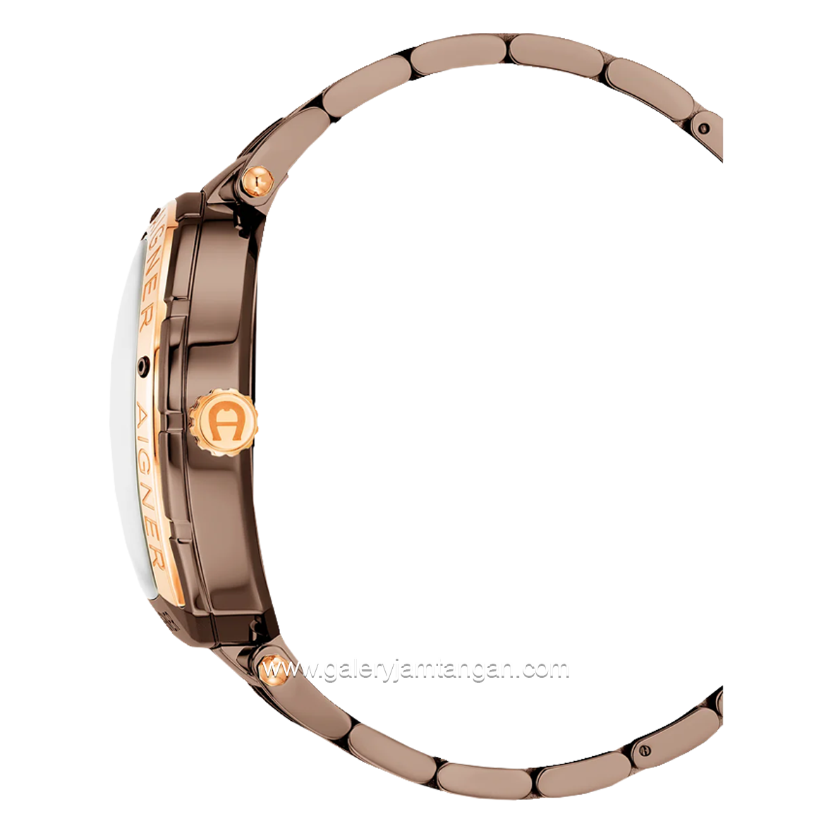 AIGNER ROVIGO AGW.246005 Brown Series Watch Swiss Made