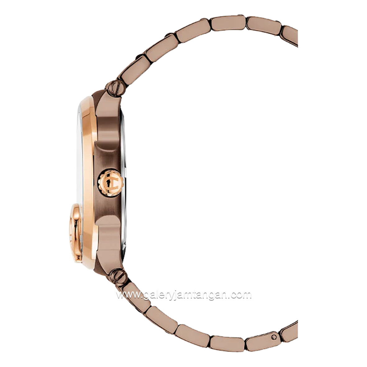 AIGNER TAVIANO 2 AGW.241013 Brown Rosegold Watch Series Swiss Made