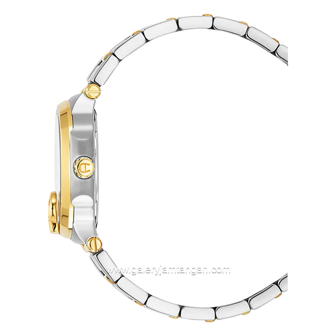 AIGNER TAVIANO 2 AGW.242001 Women's Watch Silver Gold Swiss Made