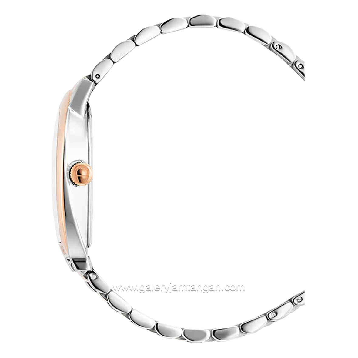 AIGNER TERAMO AGW.247003 Silver Rosegold  Dial Blue Watch Swiss Made