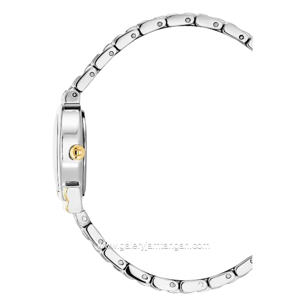Aigner Tivoli Due AGW.258001 Women's Watch Silver Gold Swiss Made