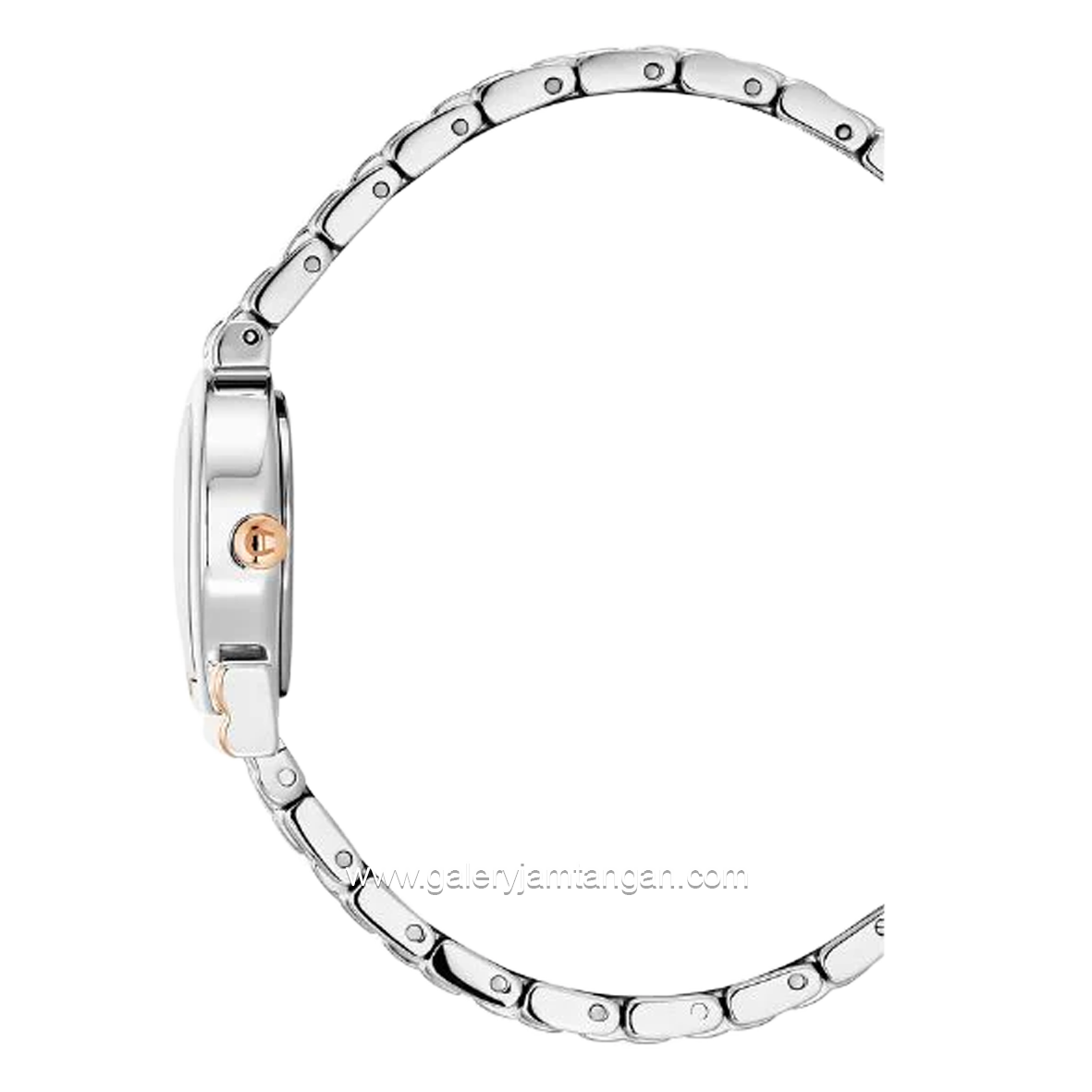 AIGNER TIVOLI DUE AGW.258002 Women's Watch Silver Rosegold Swiss Made