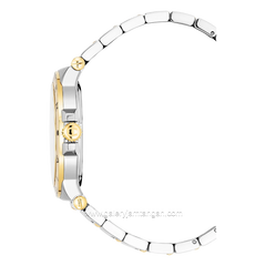 AIGNER TRIESTE 2 AGW.243003 Silver Gold Watch Swiss Made