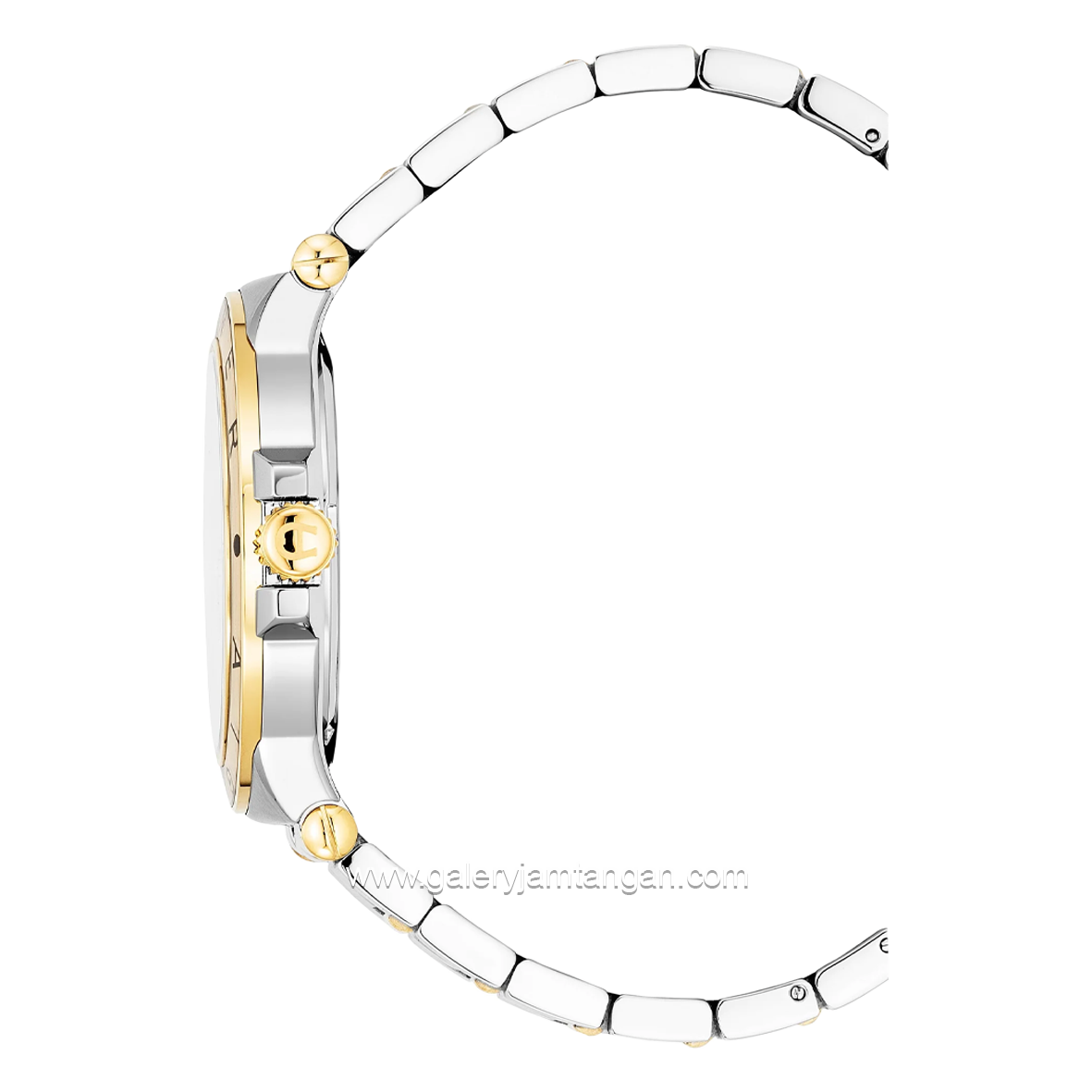 AIGNER TRIESTE 2 AGW.243004 Silver Gold Dial Green Watch Swiss Made