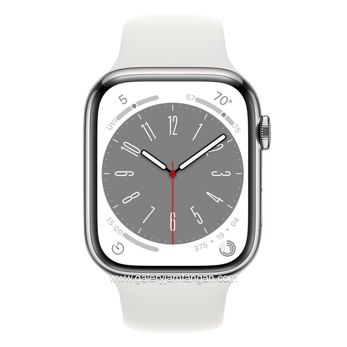 APPLE WATCH SERIES 8 41 mm Silver Sport Band