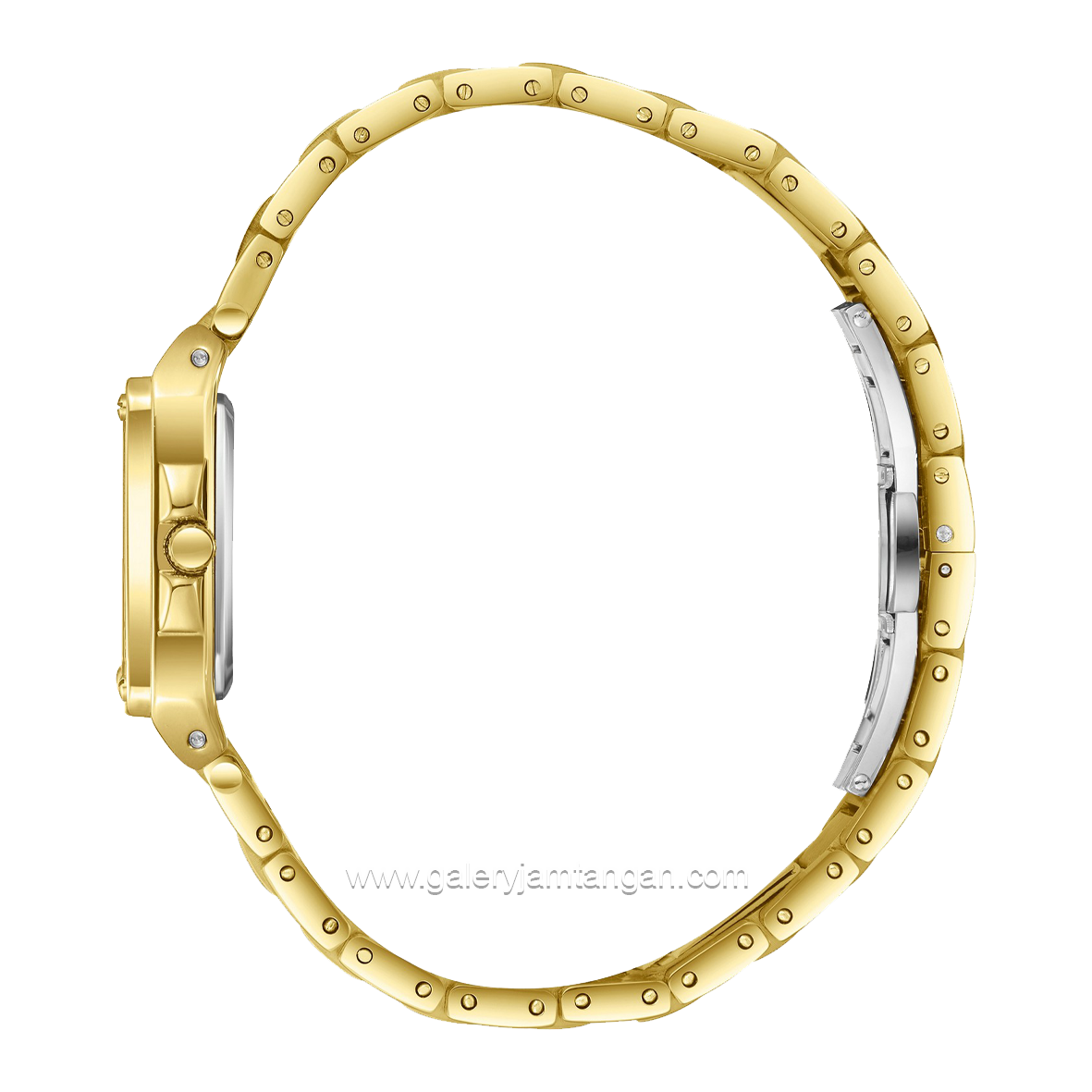 Beverly Hills Polo Club BP3671C.170 Gold Dial Green Stainless Steel
