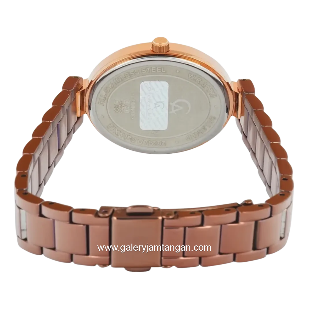 Alexandre Christie Passion AC 2C21 LDBROBO Brown Dial Brown Stainless Steel Strap