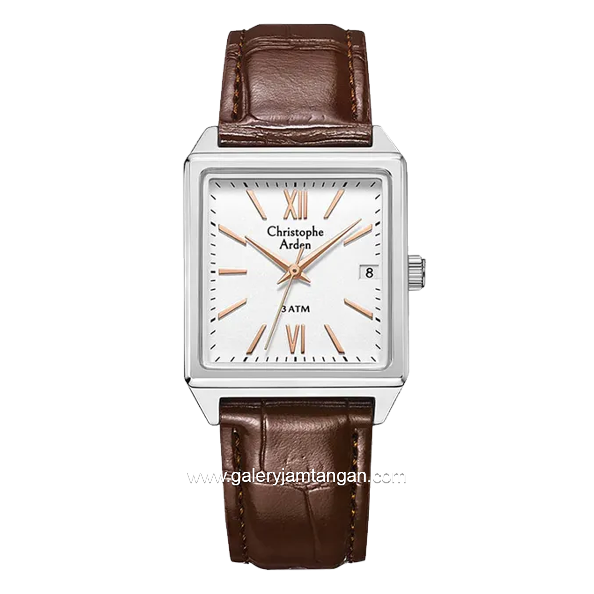 Christophe Arden CA 2003 MD Brown Silver Leather Strap
