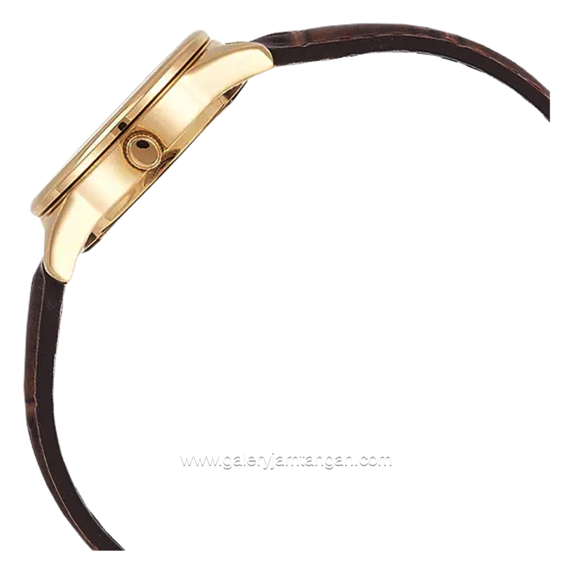 CASIO LTP-V005GL-7BUDF Brown Gold Dial White Leather Strap