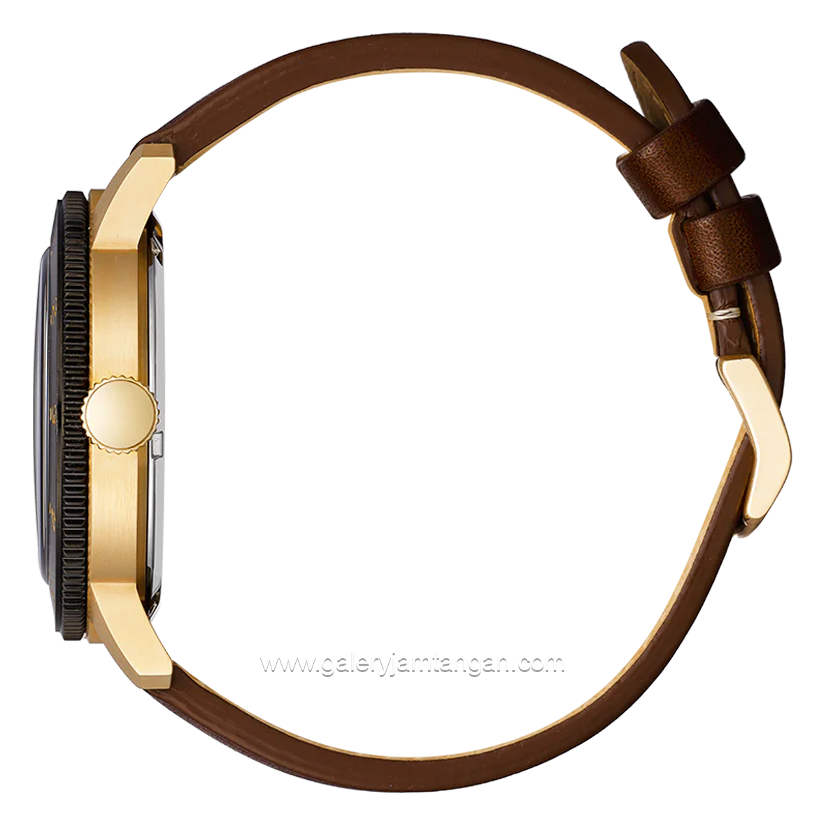 CITIZEN ECO DRIVE AW0079-13X Brown Dial Brown Leather Strap