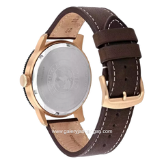 CITIZEN ECO DRIVE AW0079-13X Brown Dial Brown Leather Strap