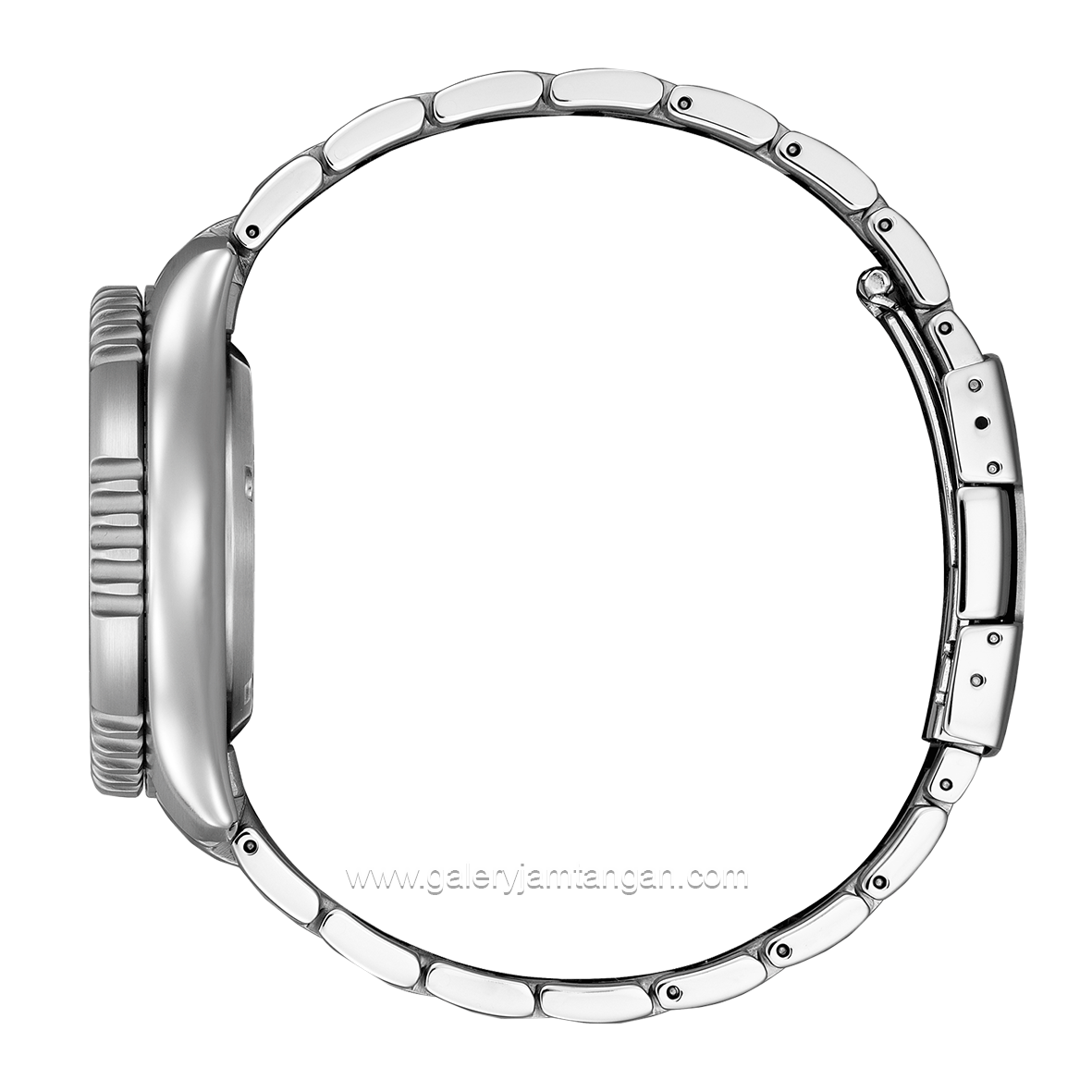 CITIZEN Promaster CTZ NY0160-66E Silver Dial Black Automatic Stainless Steel Limited Edition