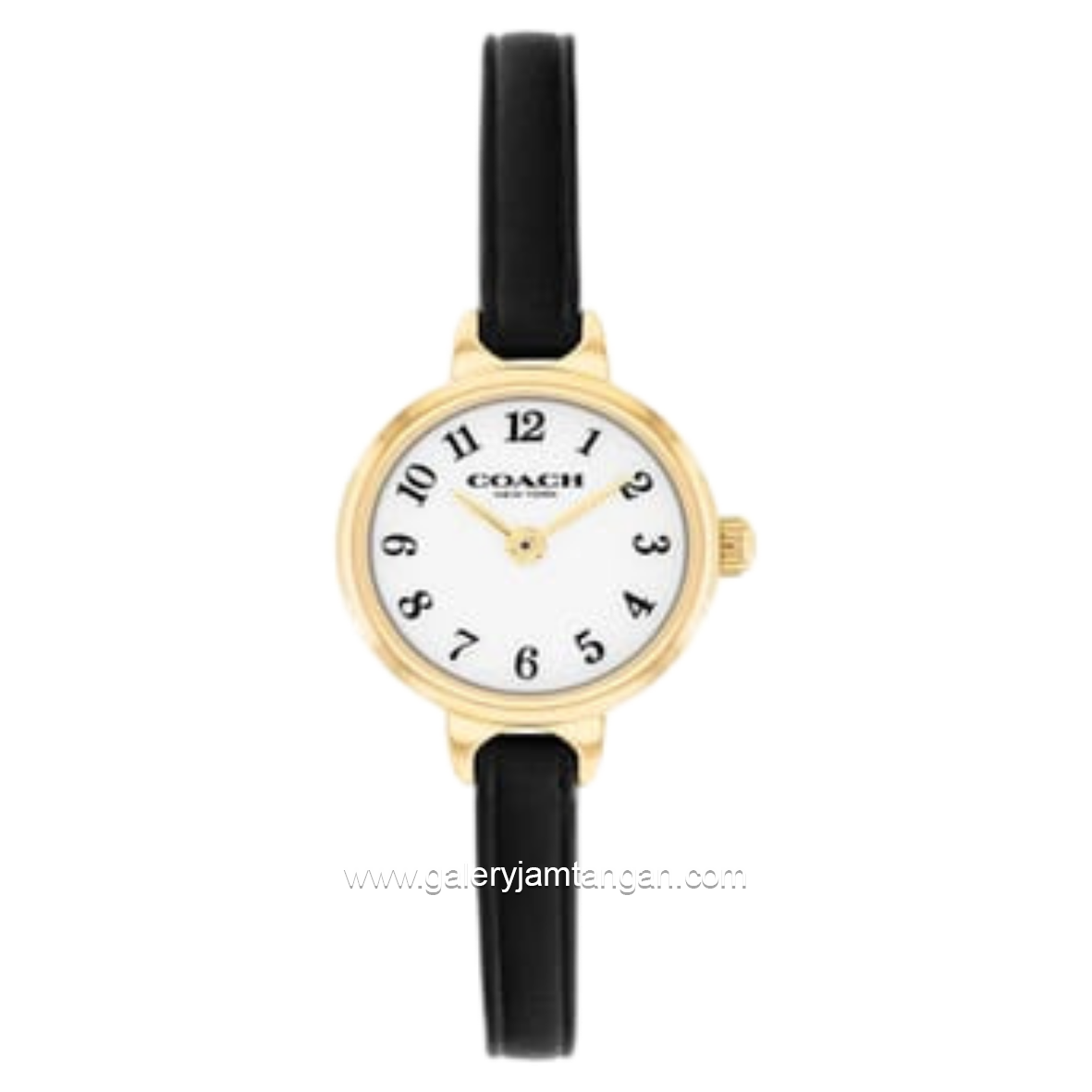 COACH 14504654 Iris Black Leather Strap