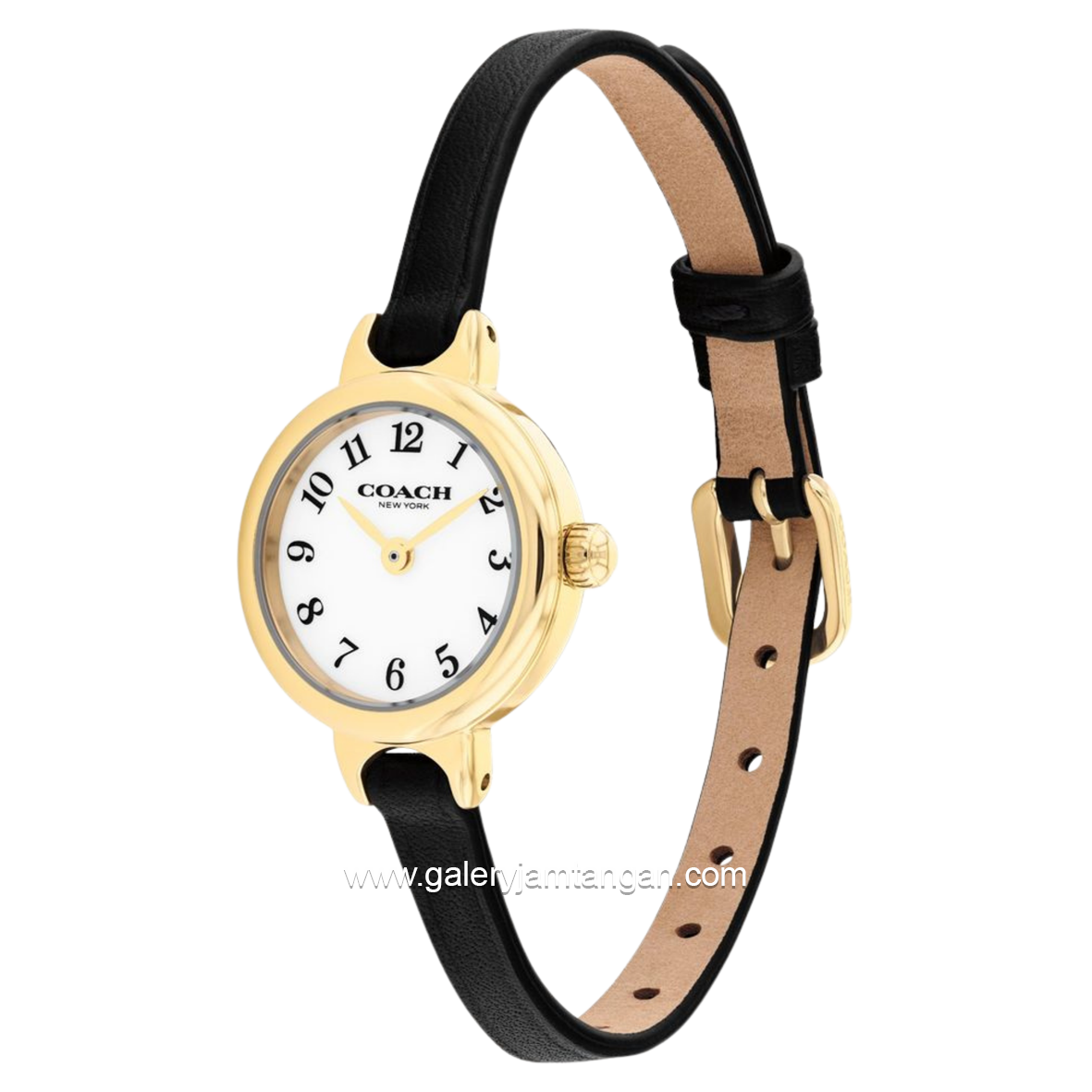 COACH 14504654 Iris Black Leather Strap