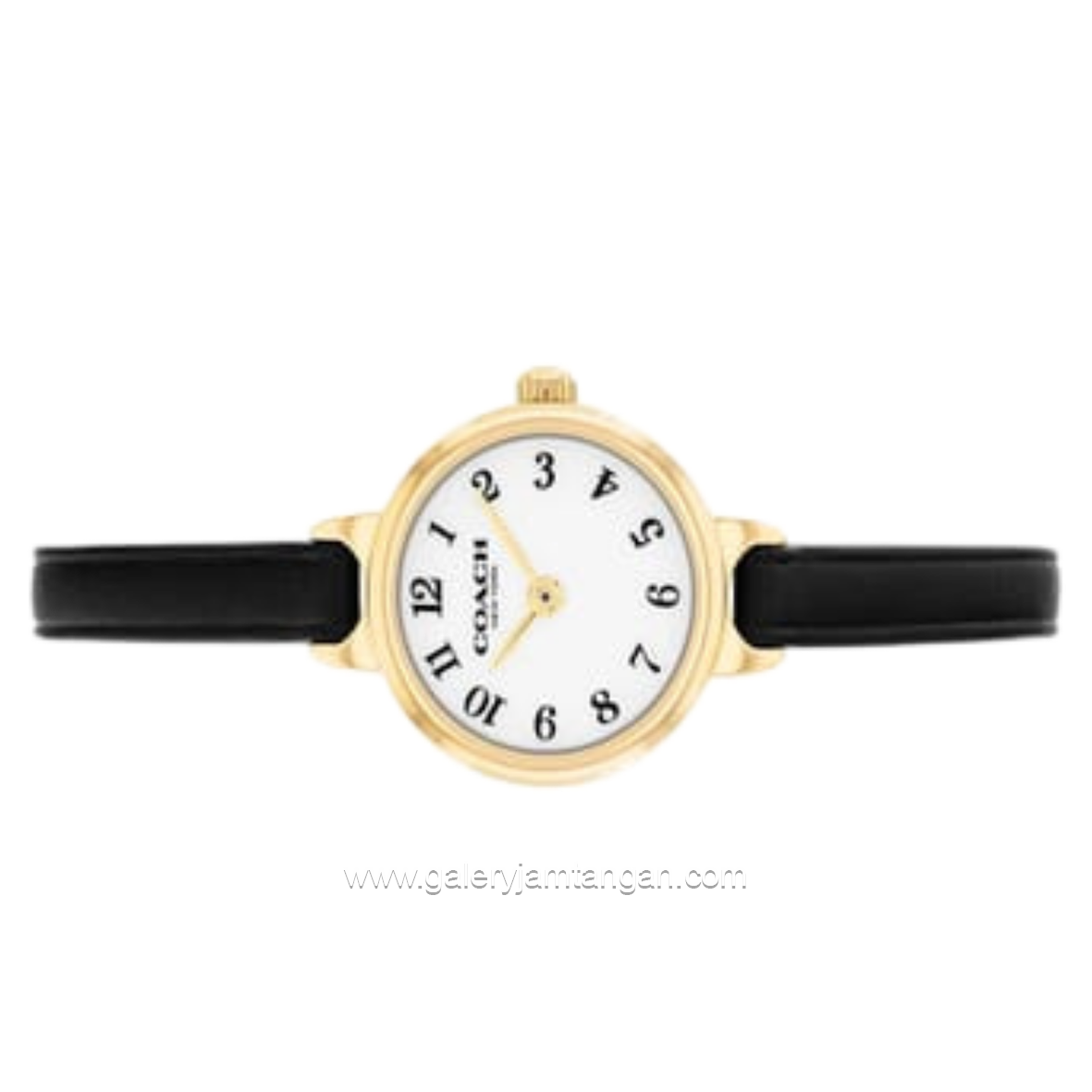 COACH 14504654 Iris Black Leather Strap