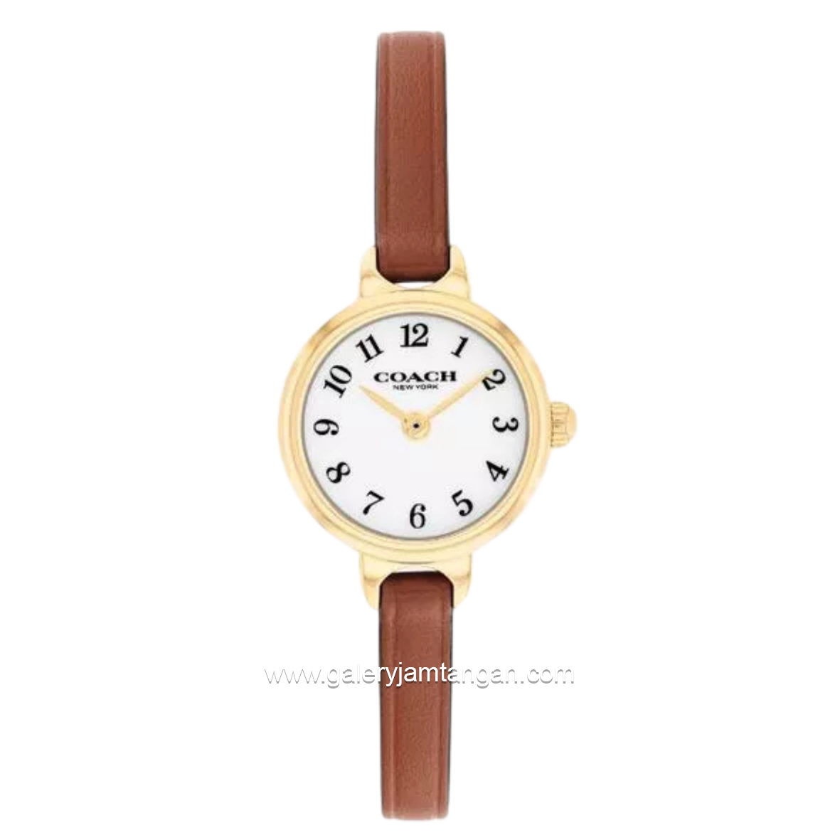 COACH 14504656 Iris Lea Brown Leather Strap