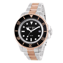 CHRIST VERRA CV71637G-14BLK Silver Gold Dial Black Stainless Steel