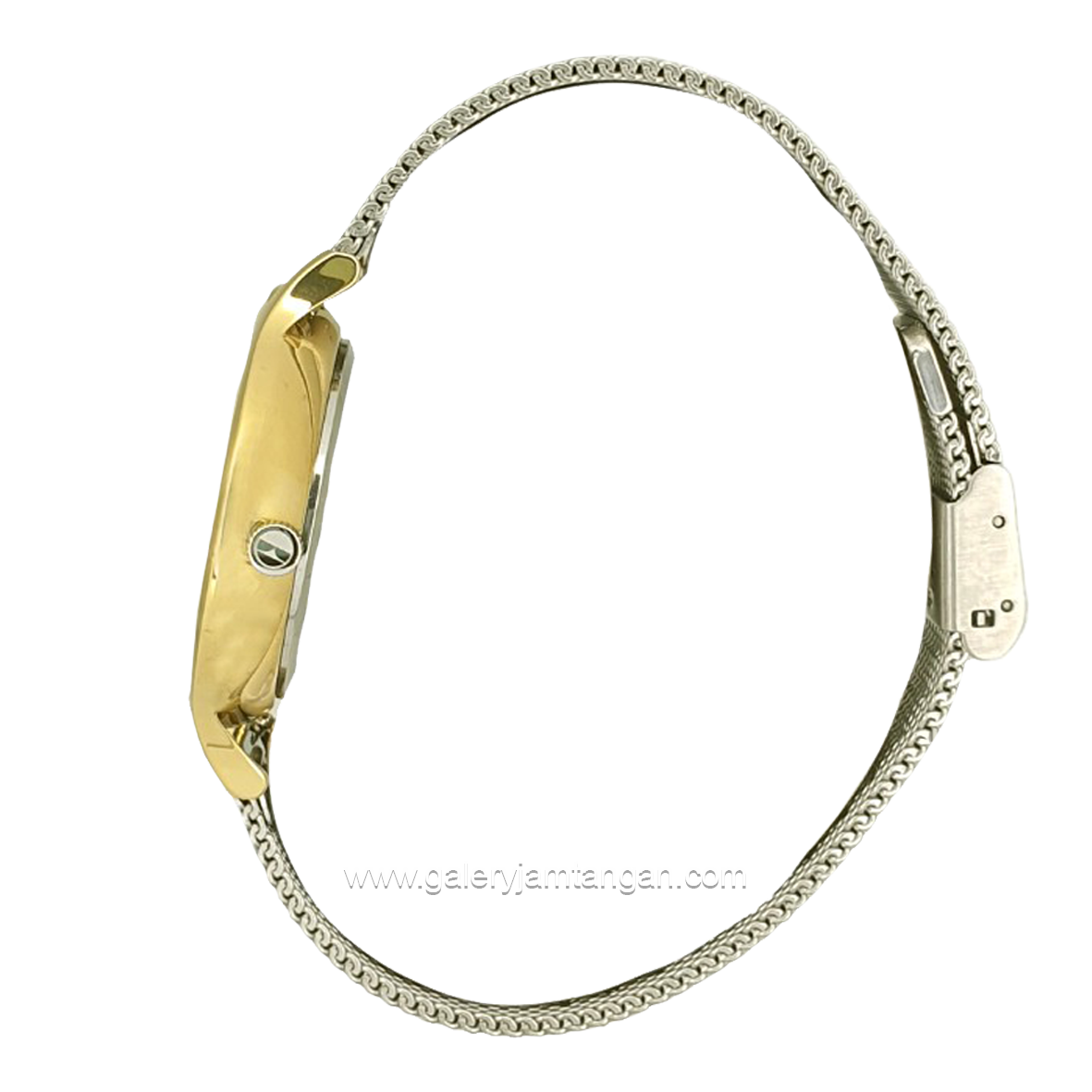 ELLE EL003-1G02M02 Silver Gold Dial White Shandrop Strap
