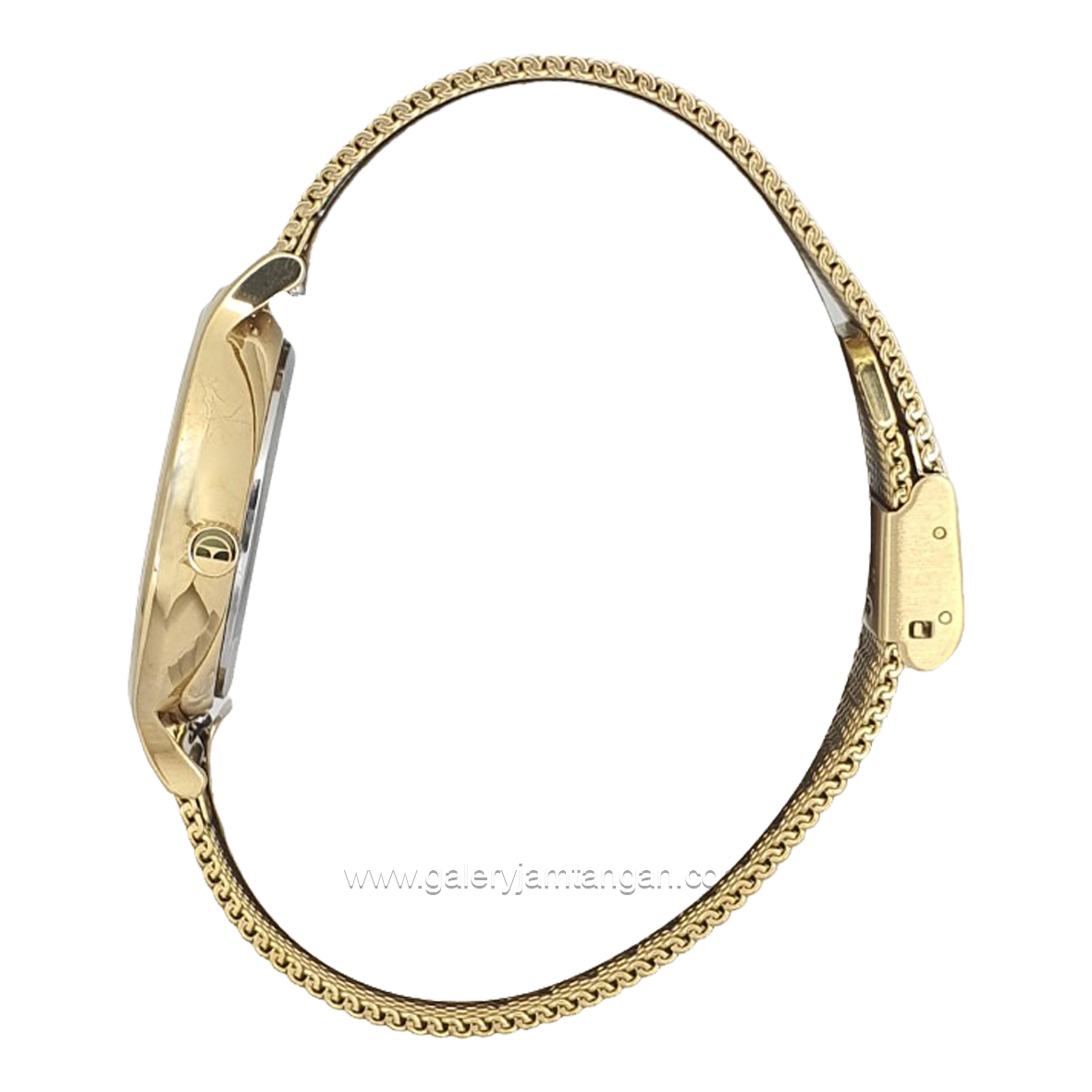 ELLE EL003-1G10M10 Full Gold Shandrope Strap