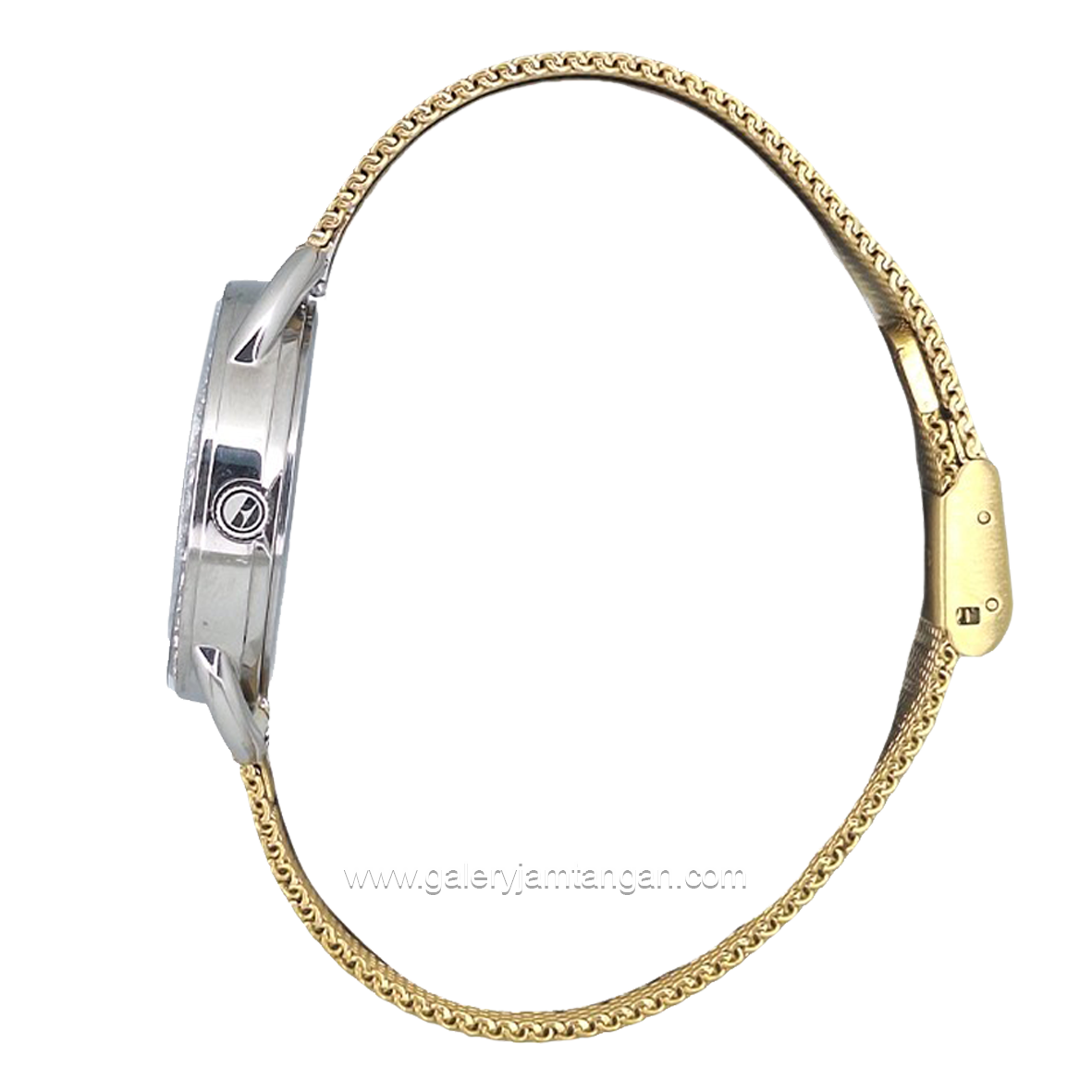 ELLE EL005-1G10M10 Gold Silver Dial Gold Shandrop Strap