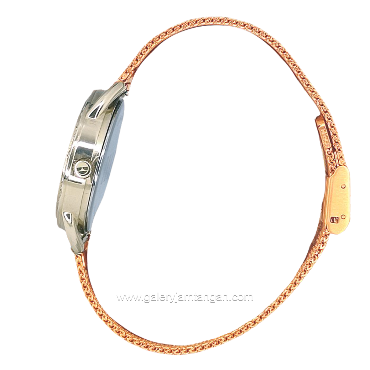 ELLE EL005-1S12M12 Brown Silver Shandrop Strap