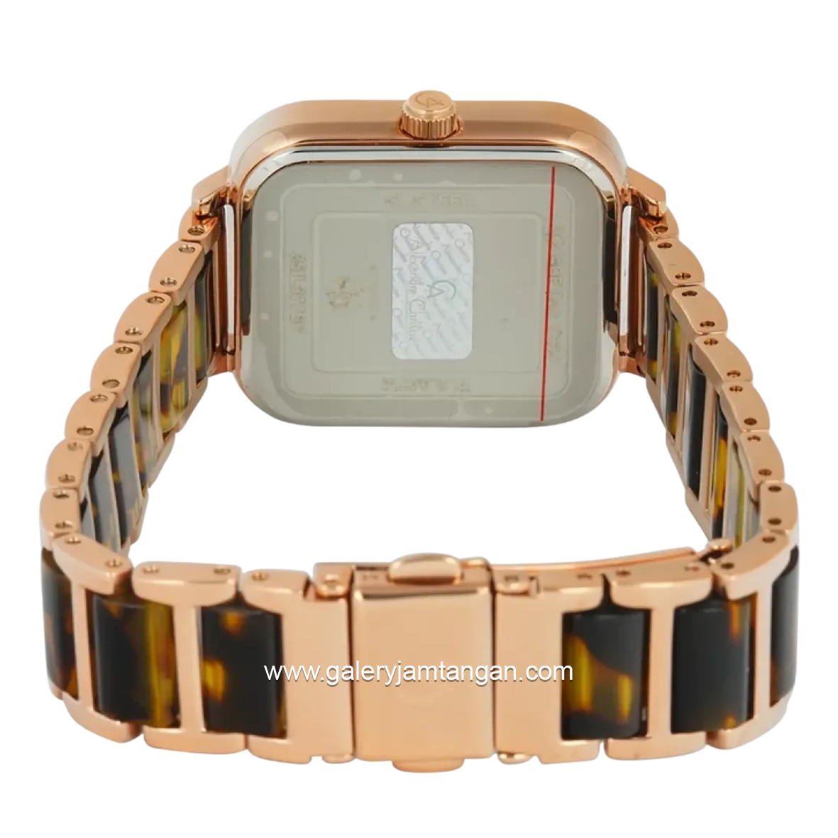 Alexandre Christie Multifunction AC 2C14 BFBRGBO Brown Dial Dual Tone Stainless Steel Strap