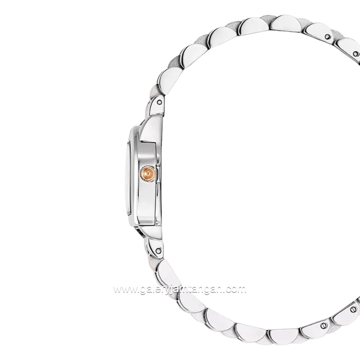 AIGNER MOLFETTA AGW.253003 Women's Watch Silver Rosegold Swiss Made