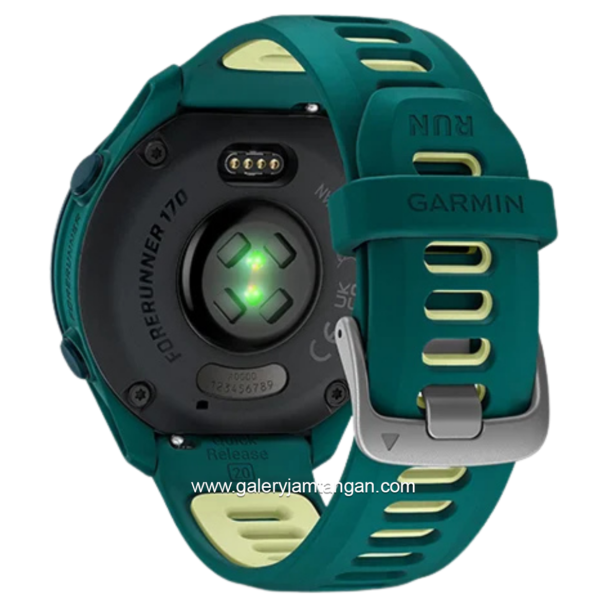 GARMIN FORERUNNER 170 MUSIC TEAL GREEN CITRON Smartwatch Silicone Strap