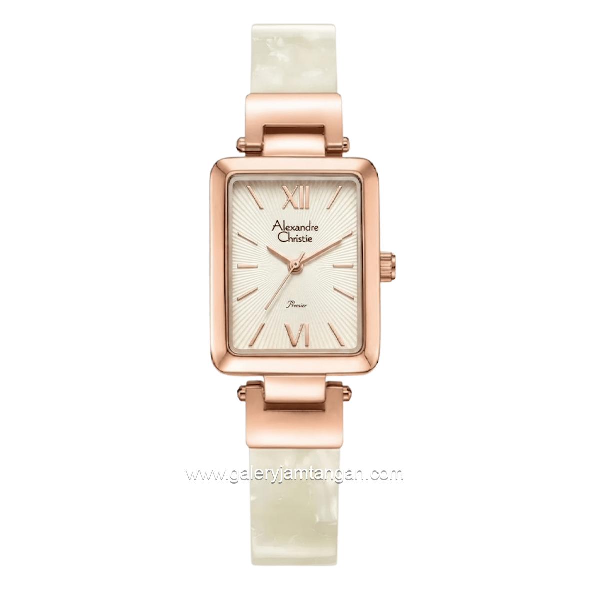 Alexandre Christie AC 2C05 LHBRGSL Dial Stainless Steel Strap