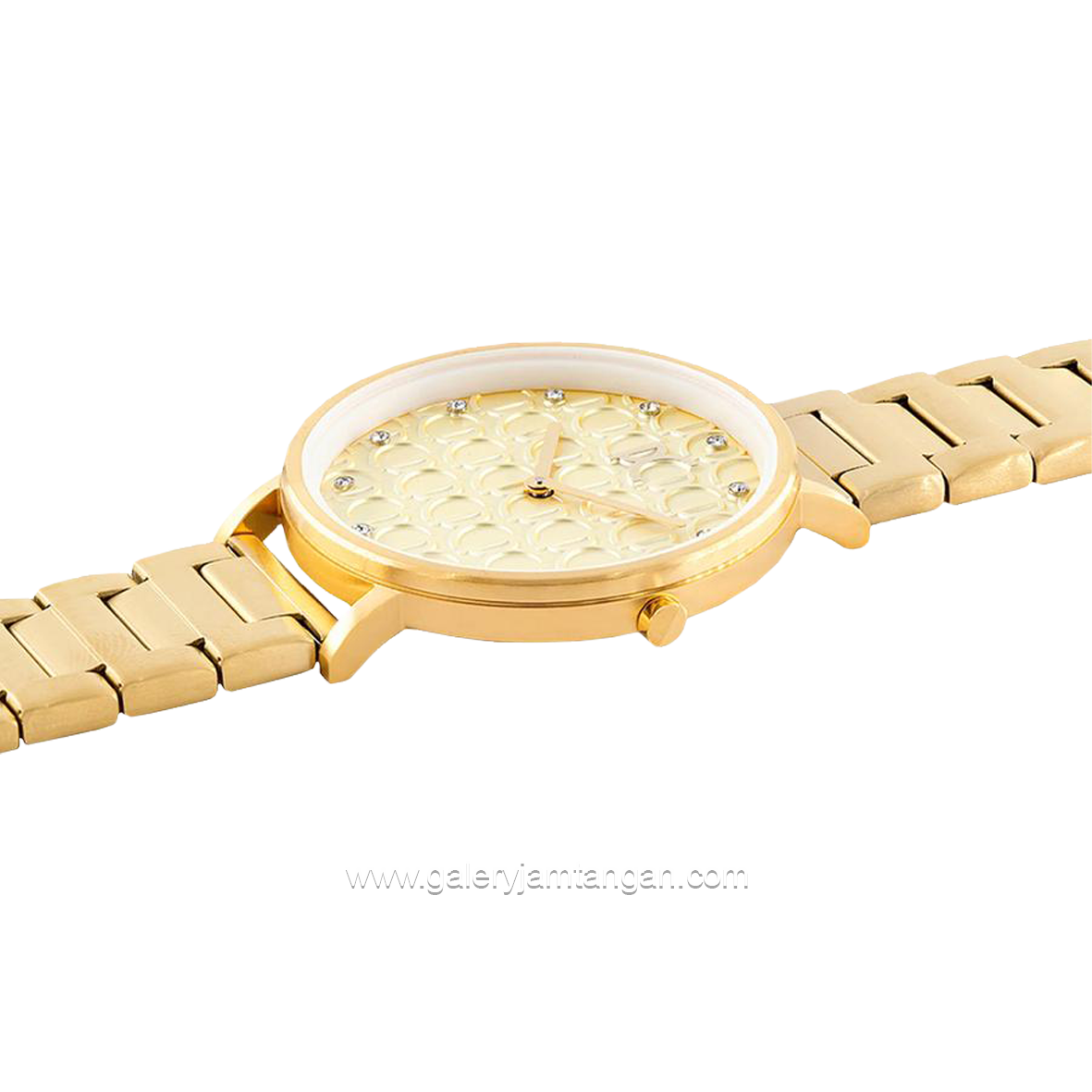 PIERRE CARDIN BONNE NOUVELLE W-CBN.3052 Women's Watches Gold Stainless Steel