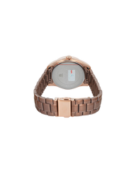 Alexandre Christie ACF 2645 BF Brown Rosegold Stainless Steel Strap