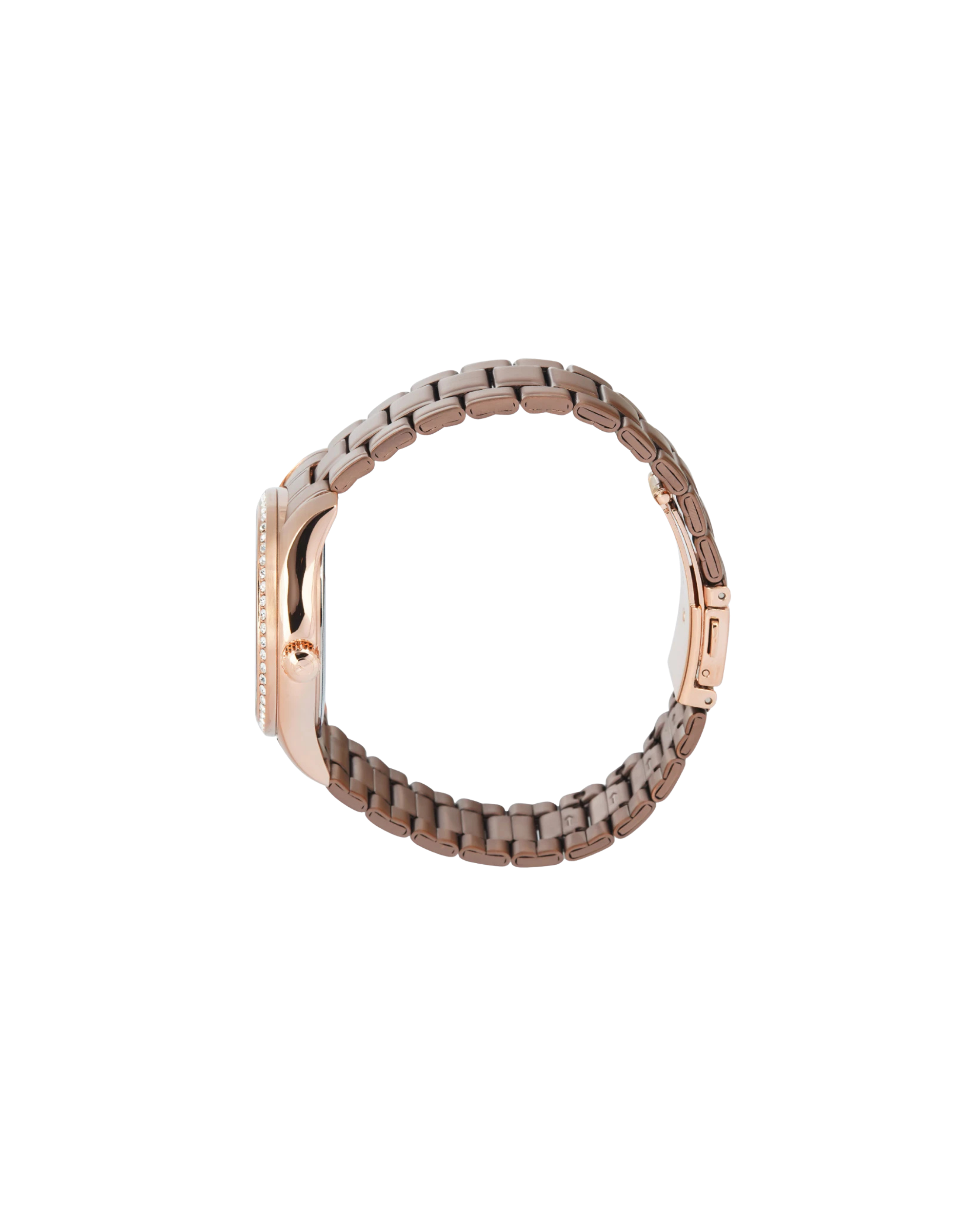 Alexandre Christie ACF 2645 BF Brown Rosegold Stainless Steel Strap