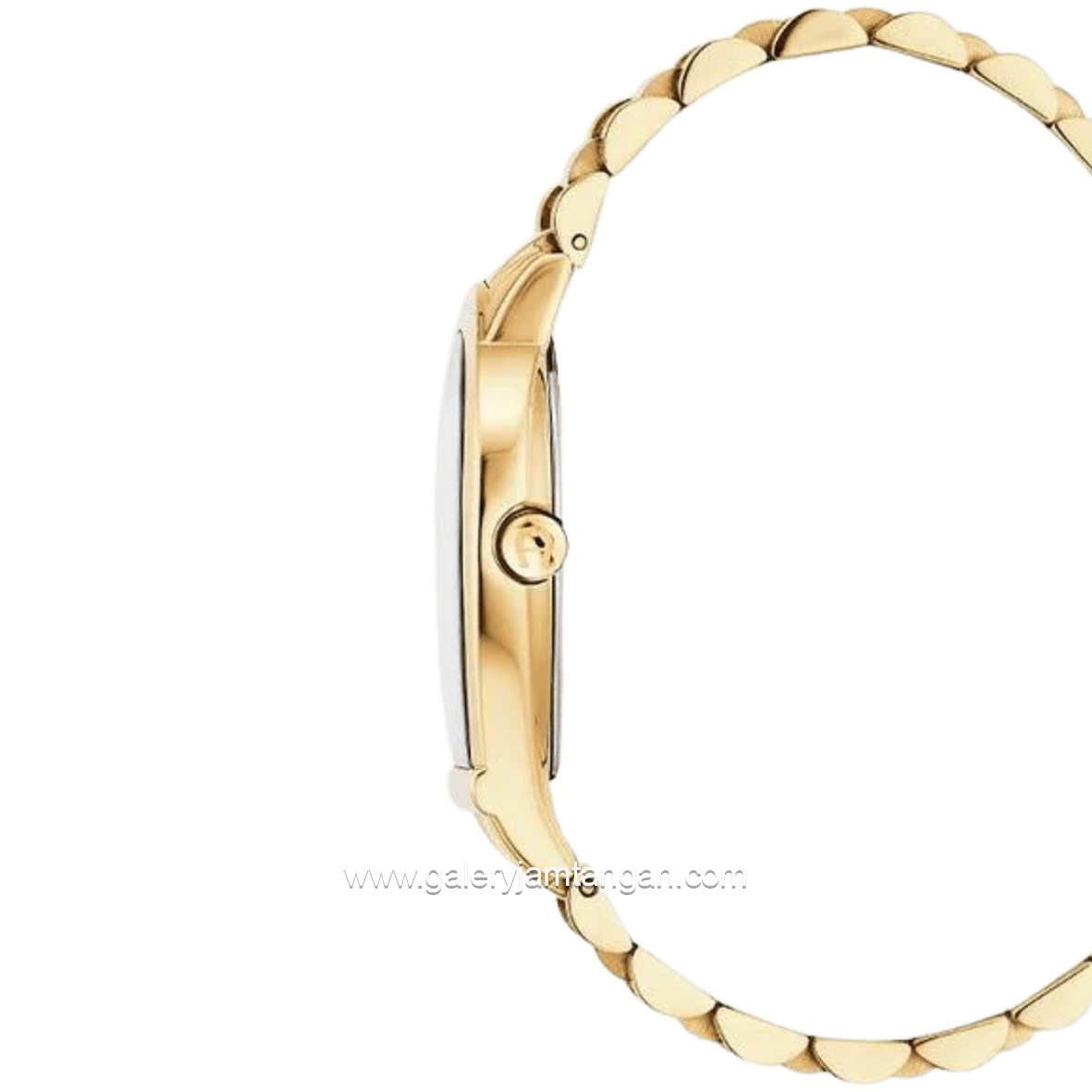 AIGNER MOLISE II AGW.278008.C Gold Dial White Stainless Steel Swiss Made