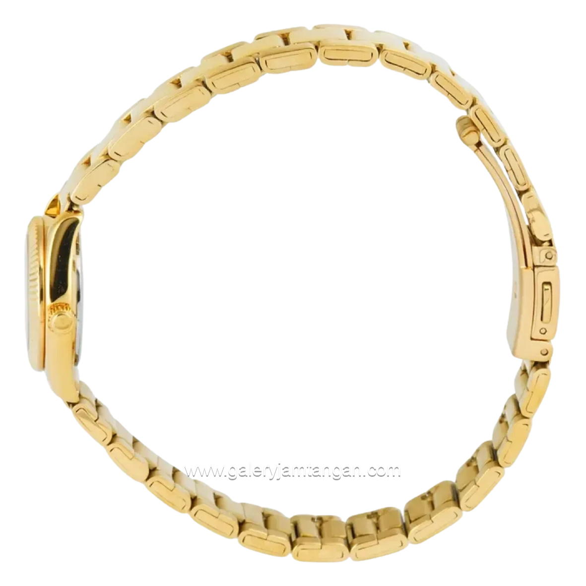 Alexandre Christie Passion AC 2C18 LHFGPIV Gold Dial Gold Stainless Steel Strap