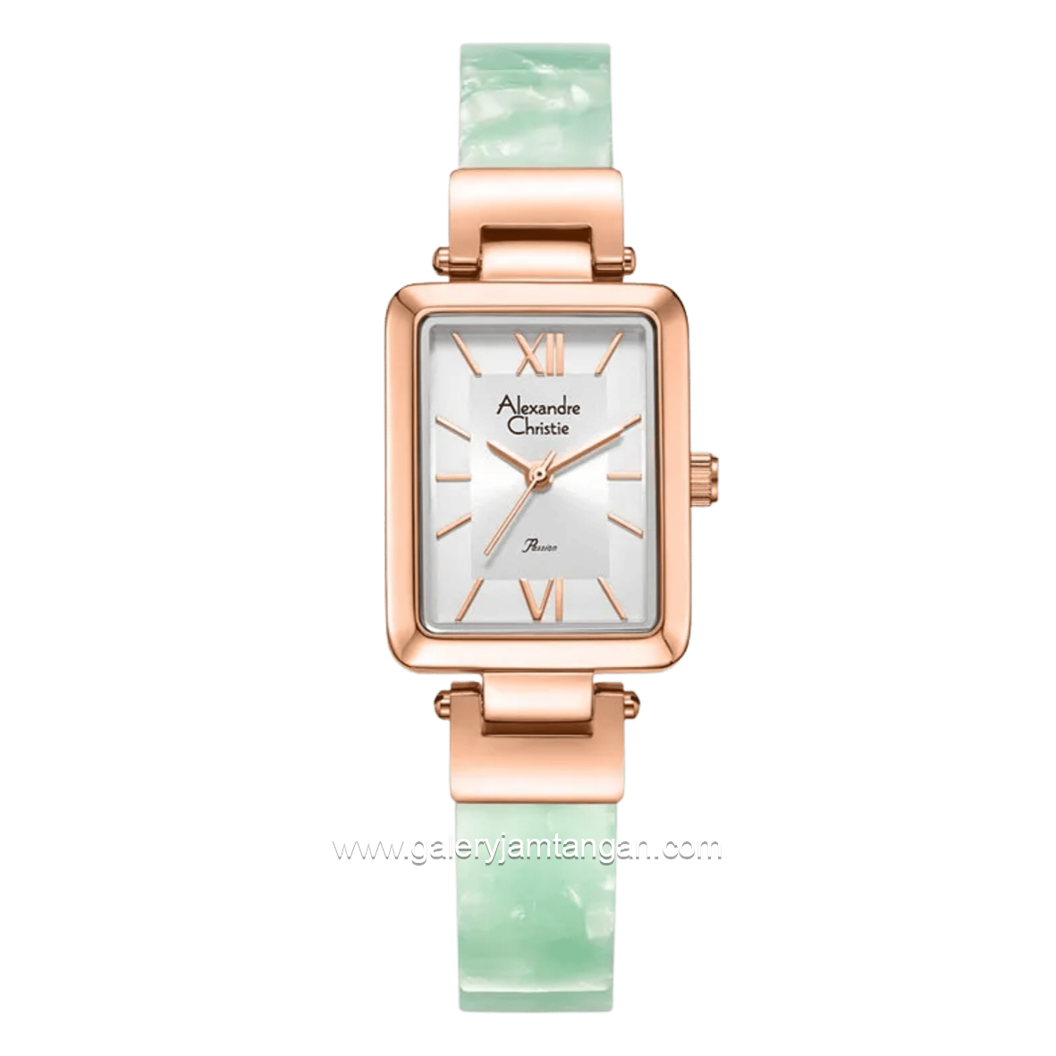 Alexandre Christie Passion AC 2C05 LHBRGSLGN Silver Dial St Steel Acetate Strap